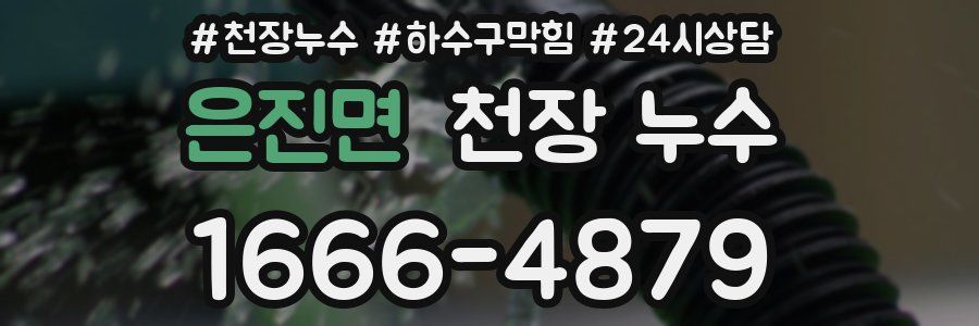 은진면 천장 누수