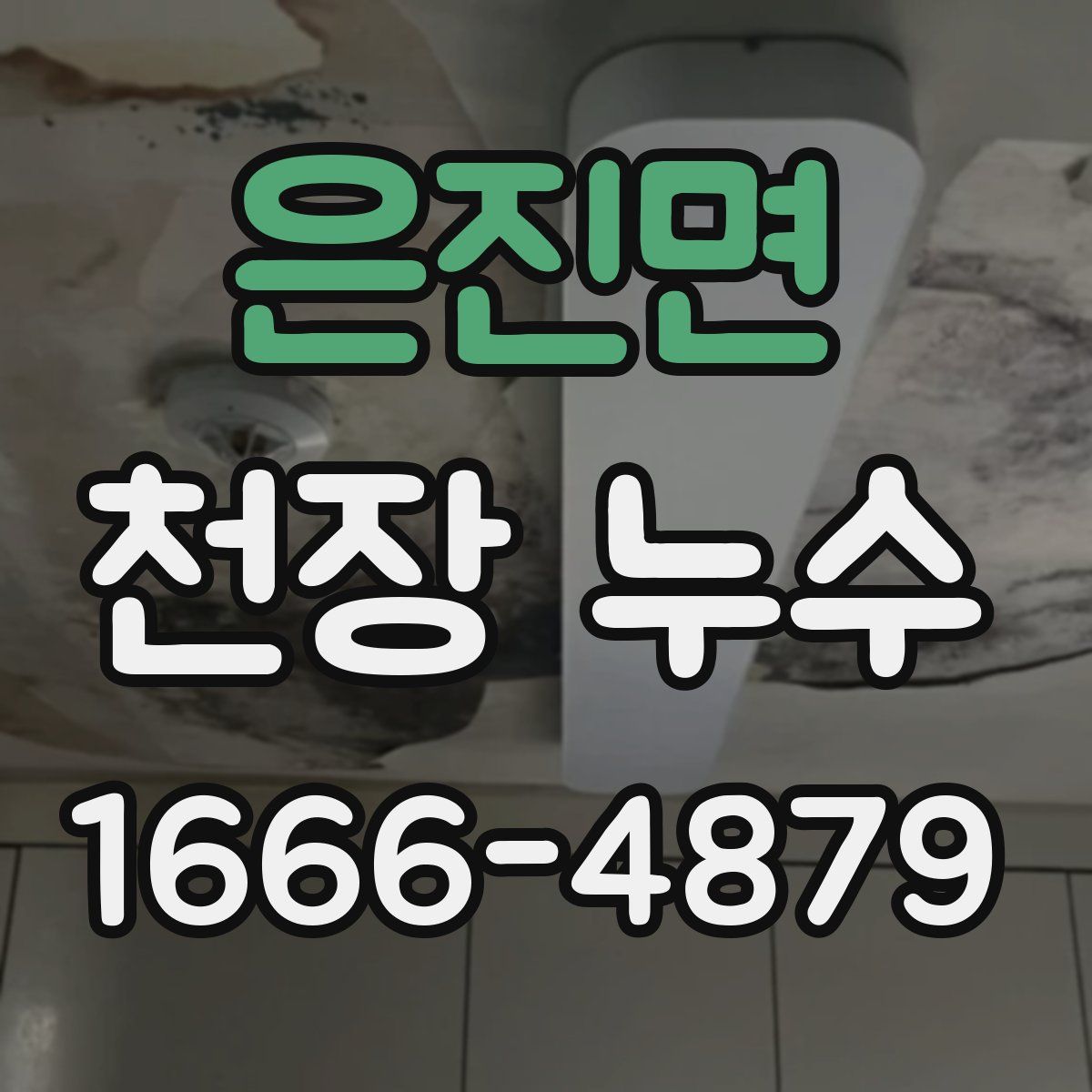 은진면 천장 누수