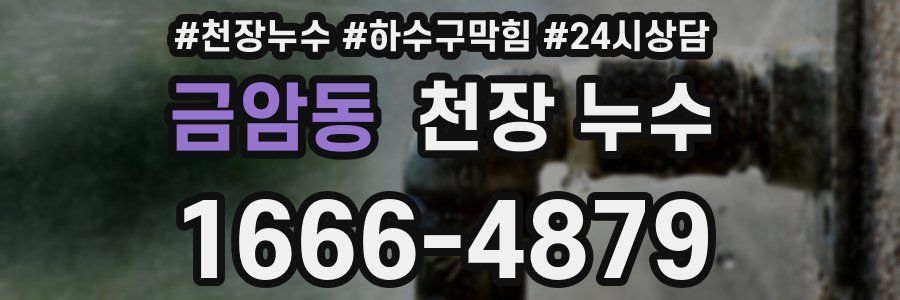 금암동 천장 누수