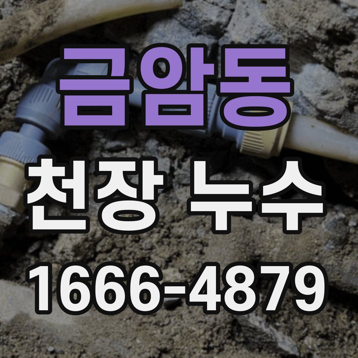 금암동 천장 누수