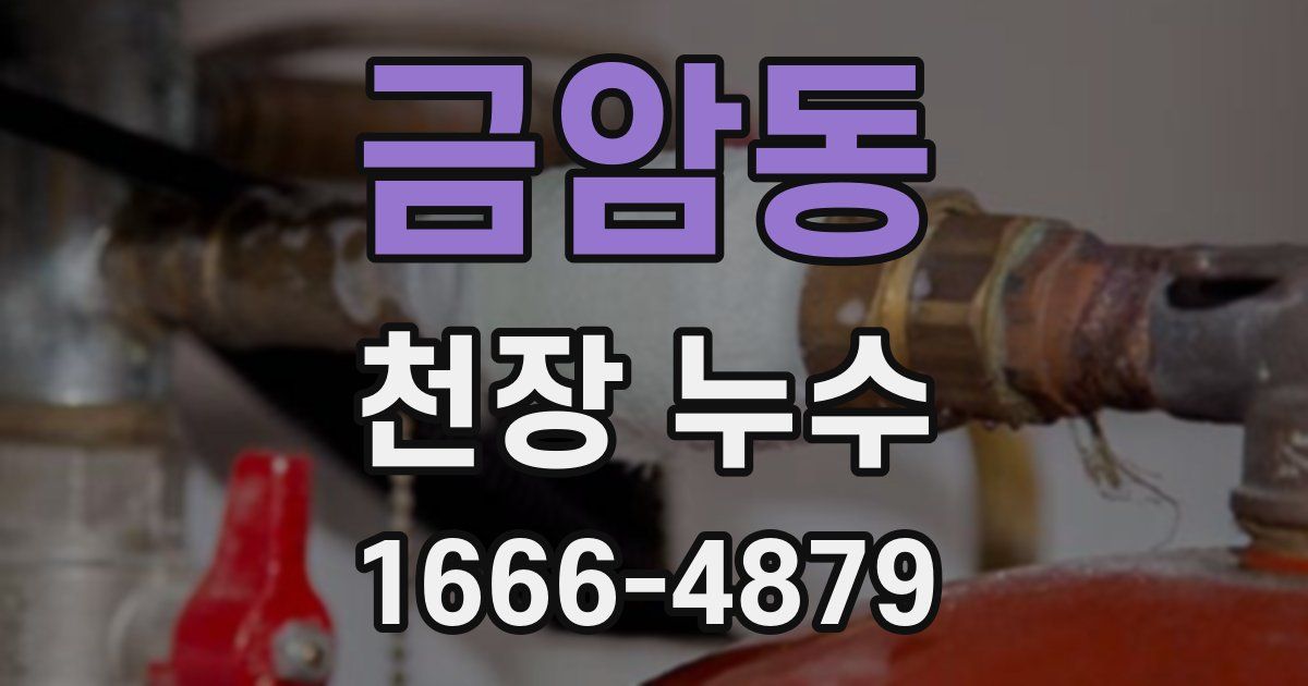 금암동 천장 누수