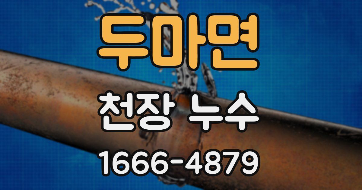 두마면 천장 누수