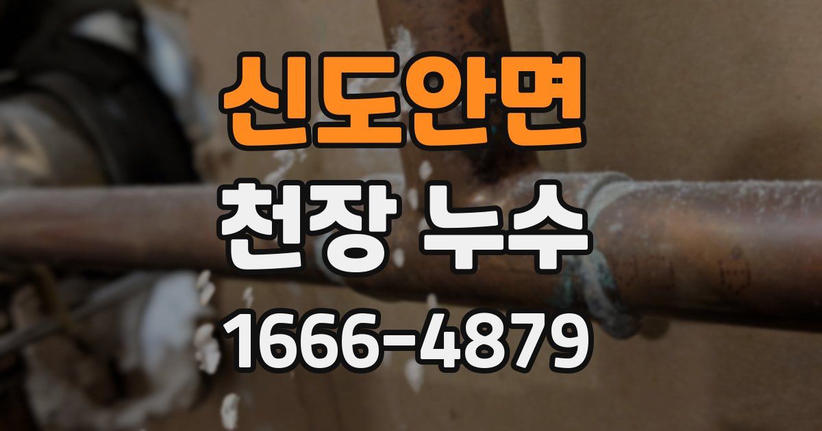 신도안면 천장 누수