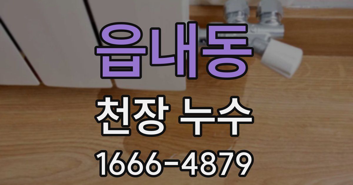 읍내동 천장 누수