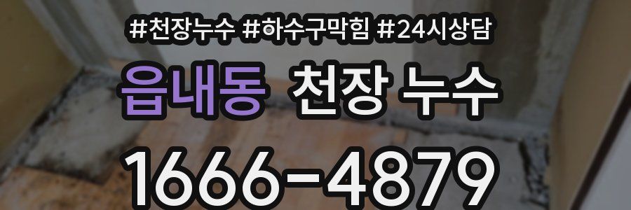 읍내동 천장 누수