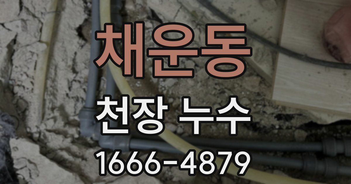 채운동 천장 누수