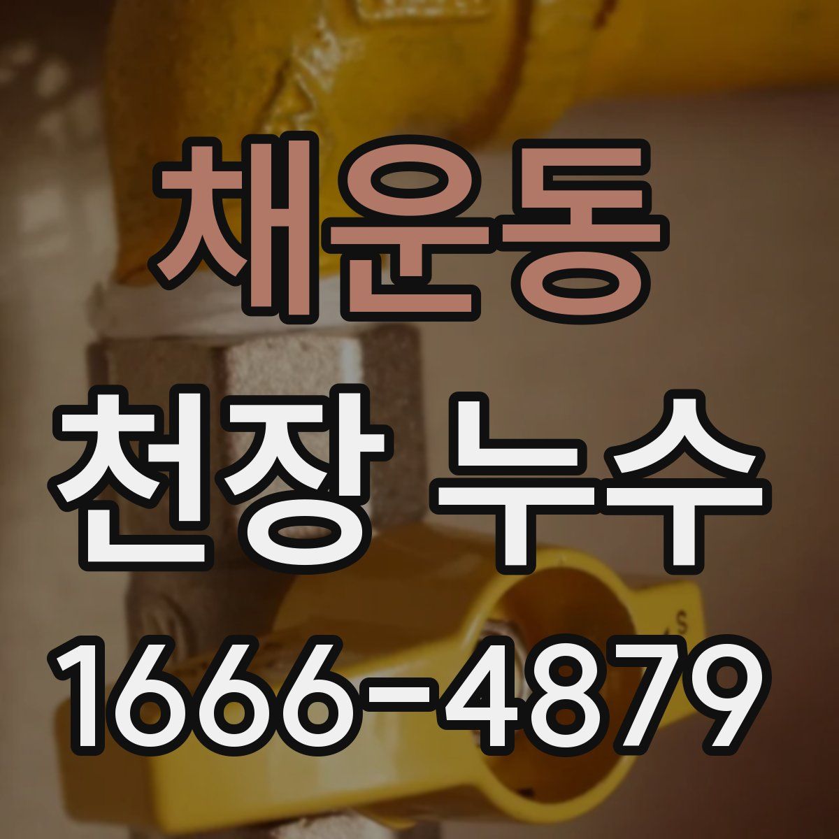 채운동 천장 누수