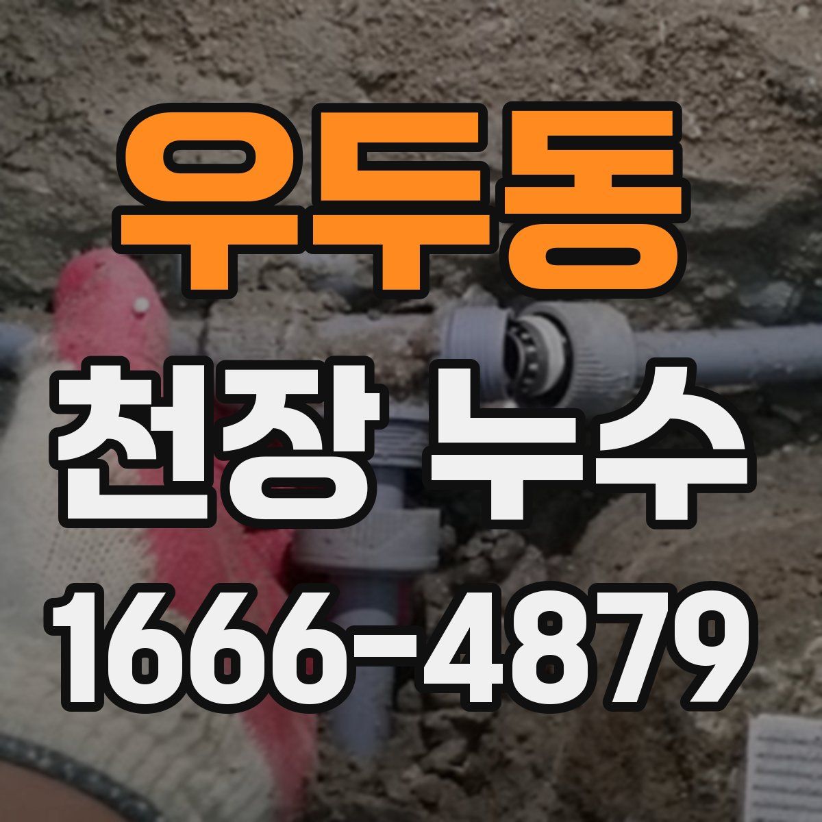 우두동 천장 누수