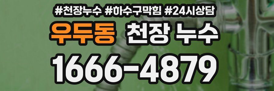 우두동 천장 누수