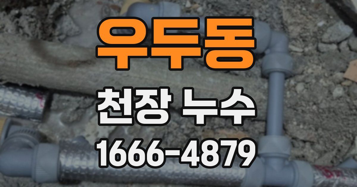 우두동 천장 누수