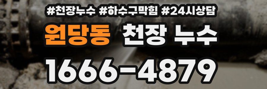 원당동 천장 누수