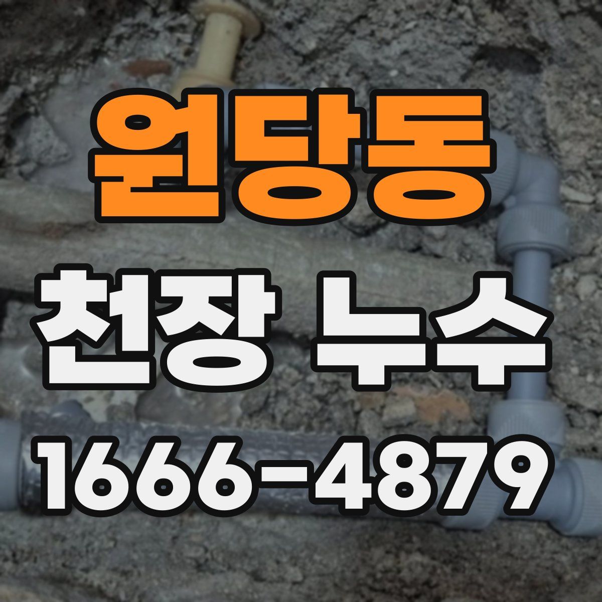 원당동 천장 누수