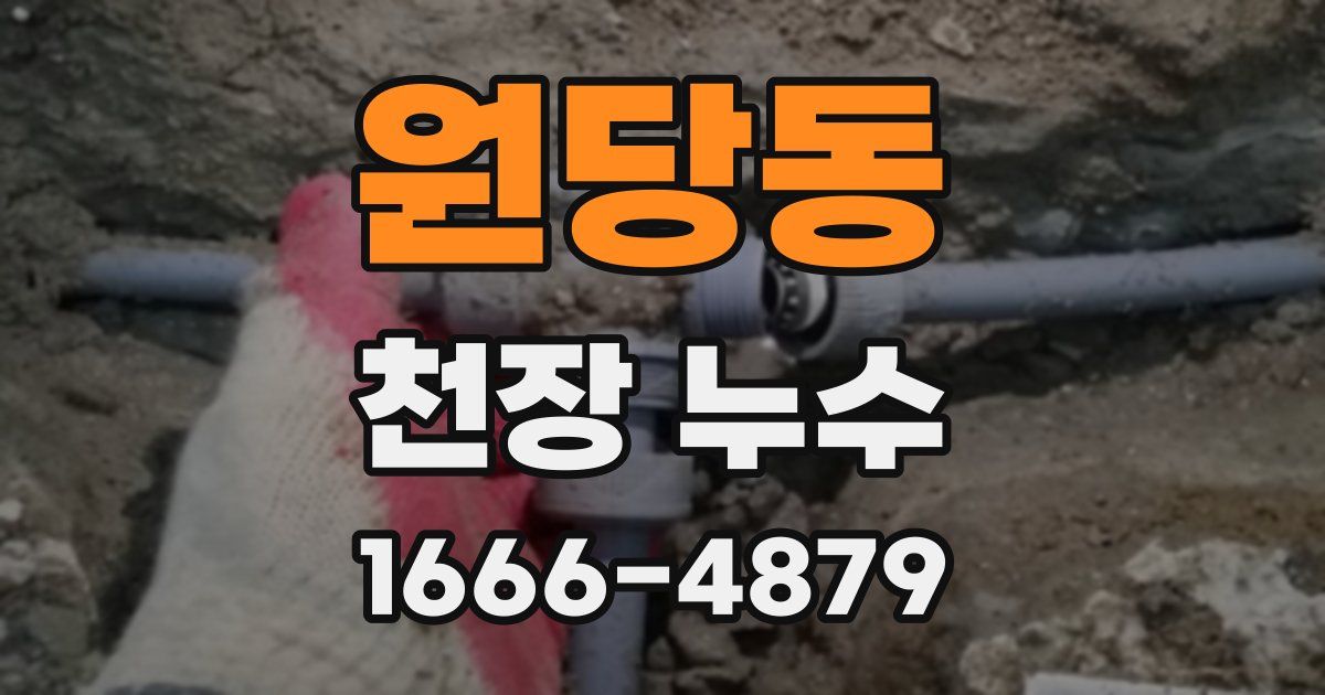 원당동 천장 누수