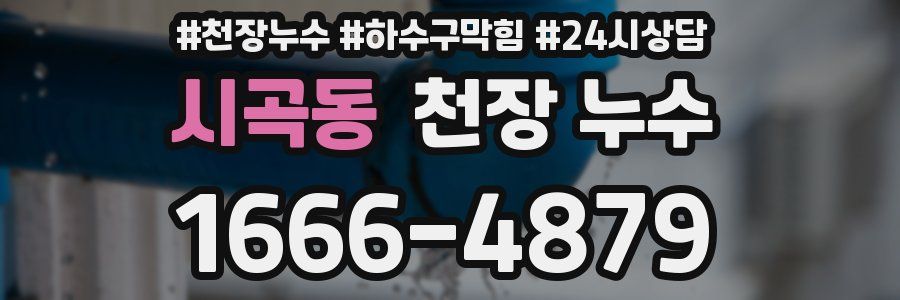 시곡동 천장 누수