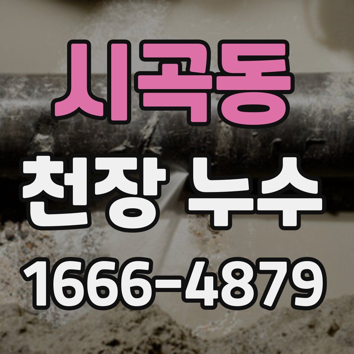 시곡동 천장 누수