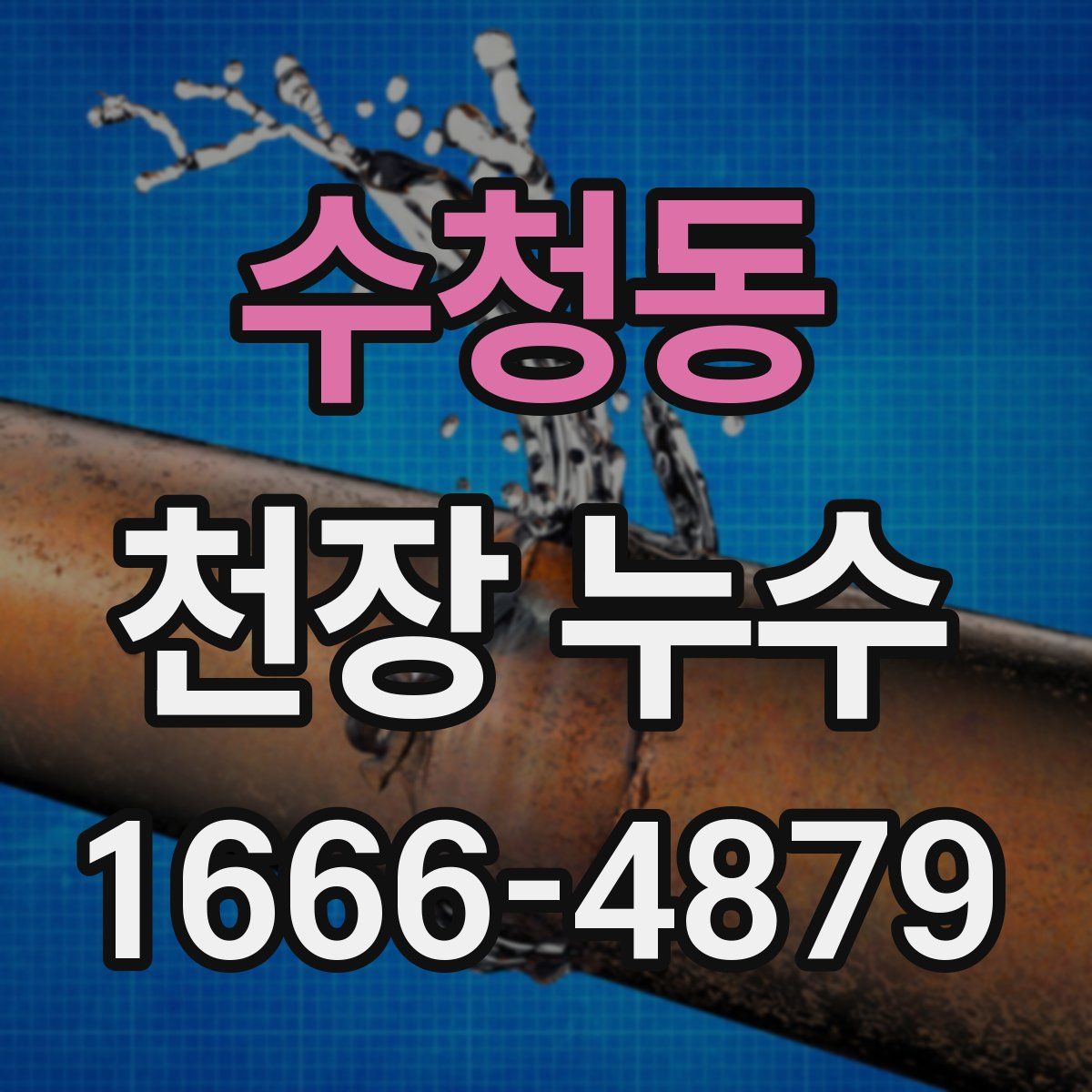 수청동 천장 누수