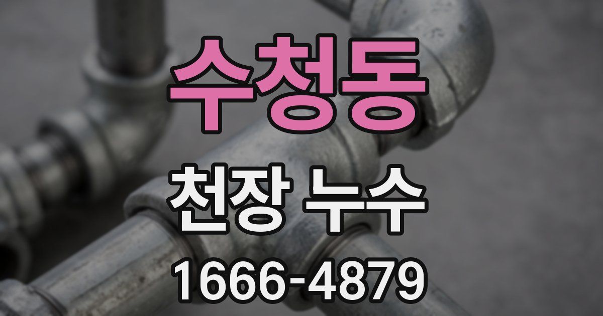 수청동 천장 누수