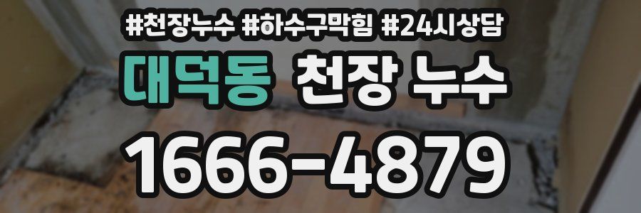 대덕동 천장 누수