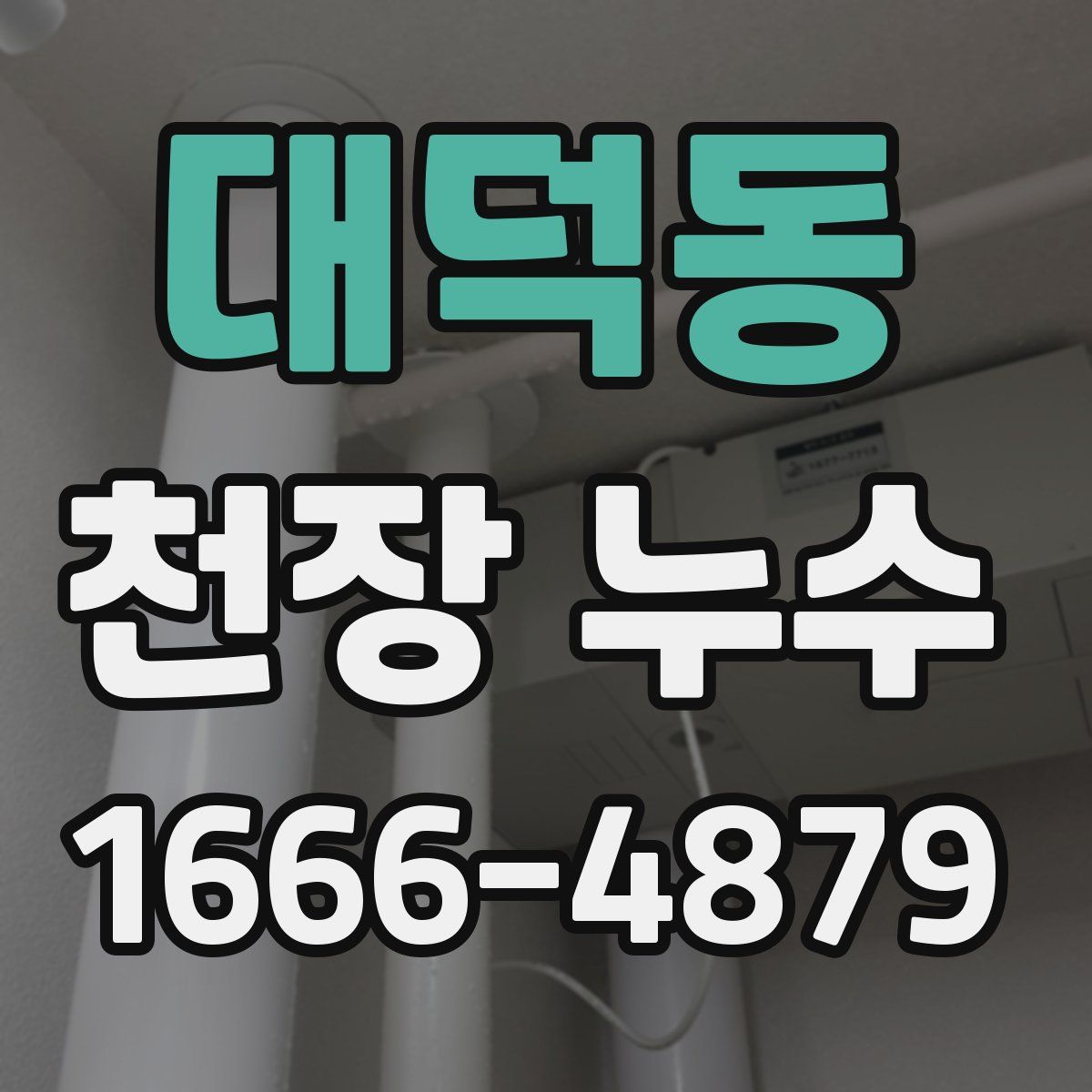 대덕동 천장 누수