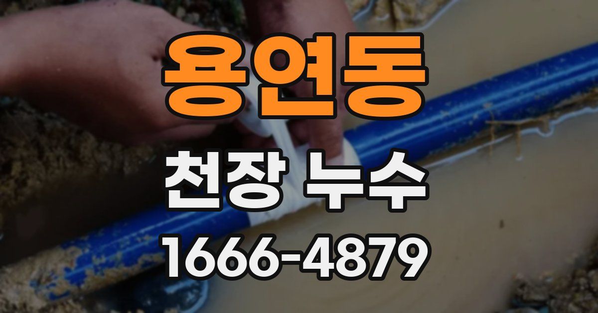 용연동 천장 누수