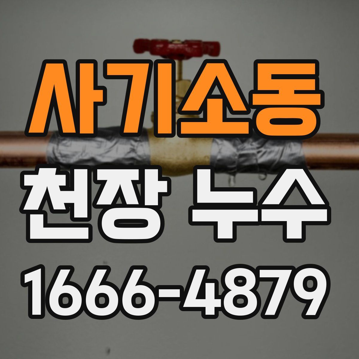 사기소동 천장 누수