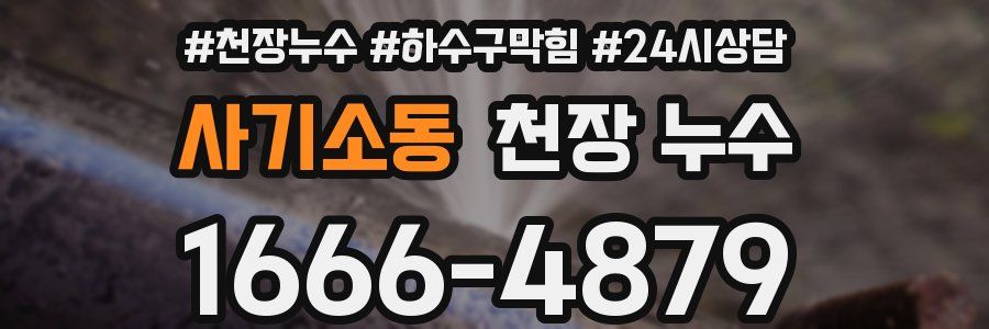 사기소동 천장 누수