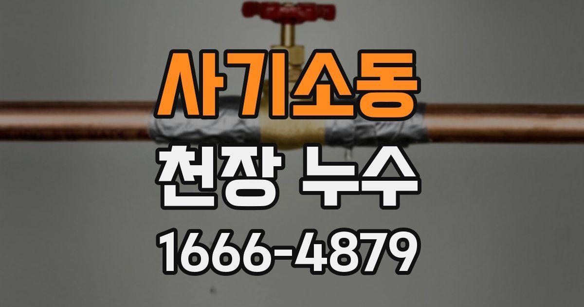 사기소동 천장 누수