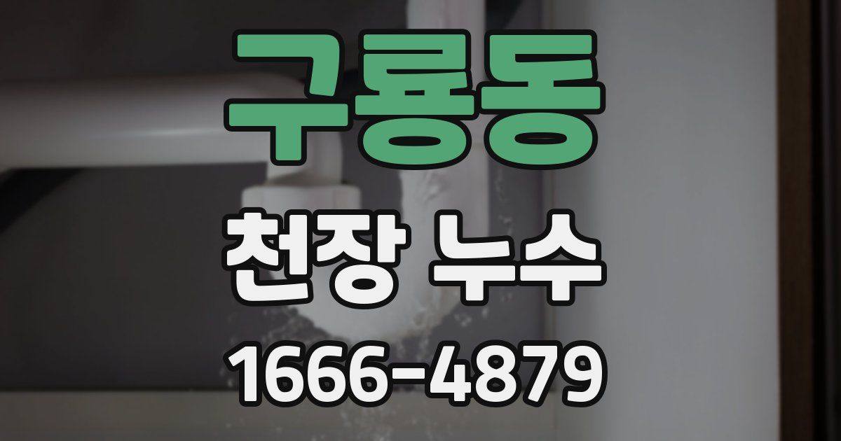 구룡동 천장 누수