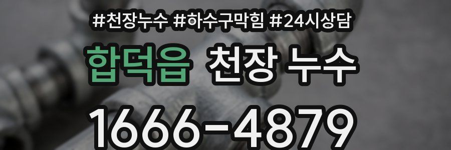 합덕읍 천장 누수