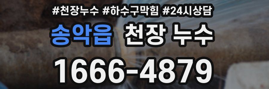 송악읍 천장 누수