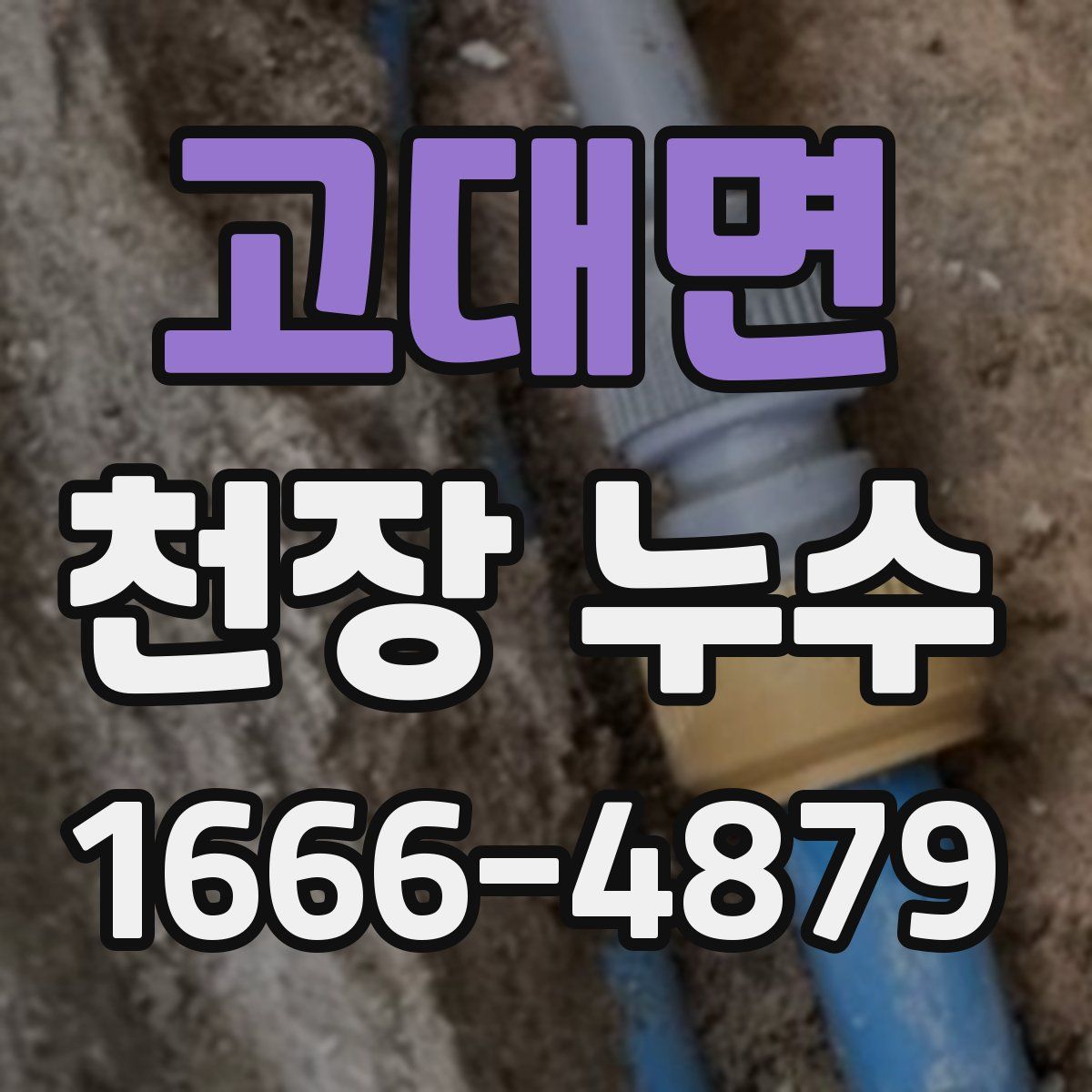 고대면 천장 누수