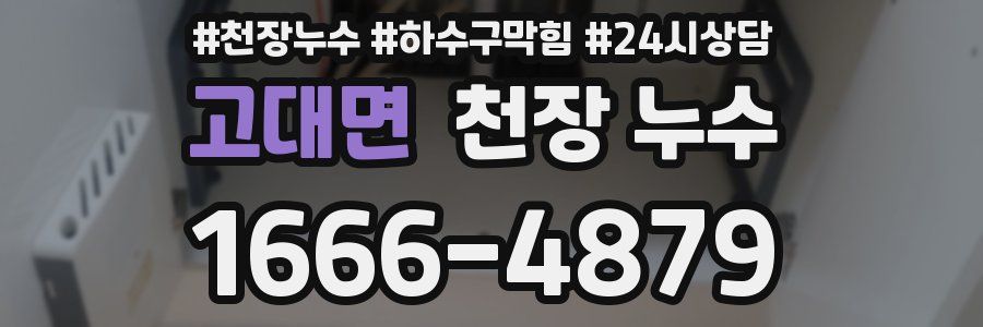 고대면 천장 누수