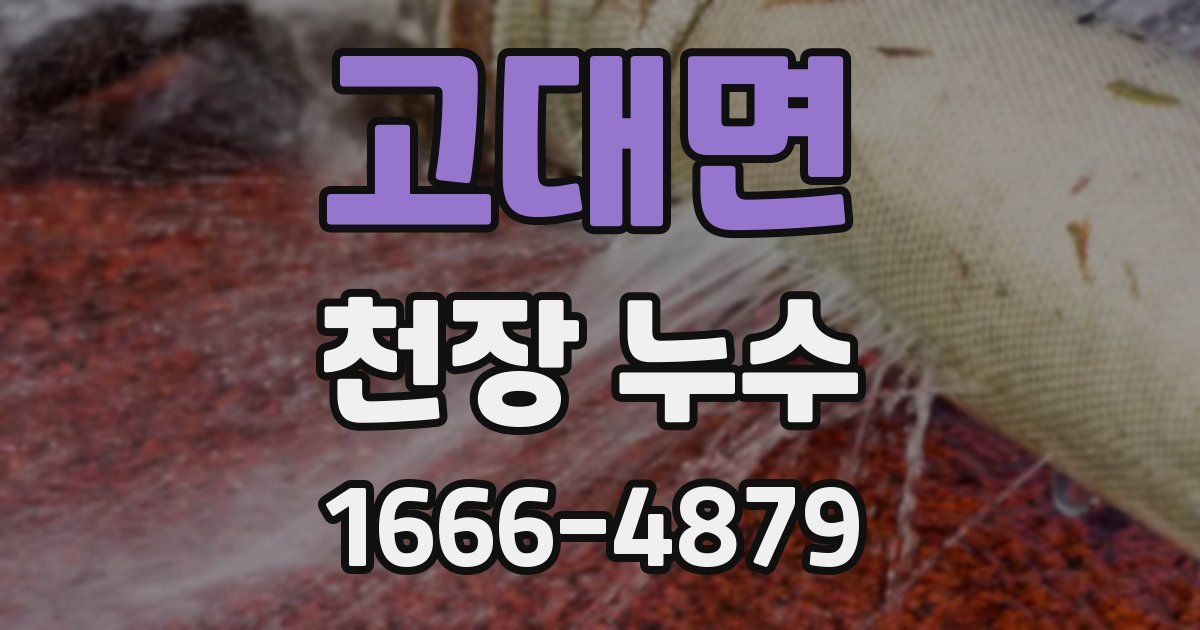 고대면 천장 누수