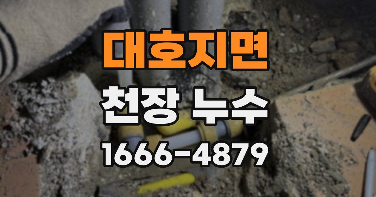 대호지면 천장 누수