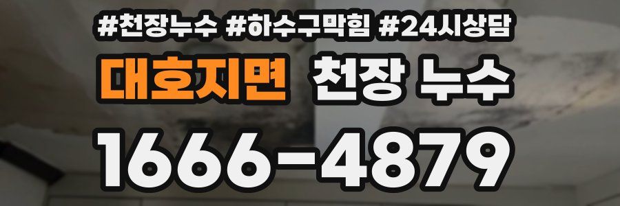 대호지면 천장 누수