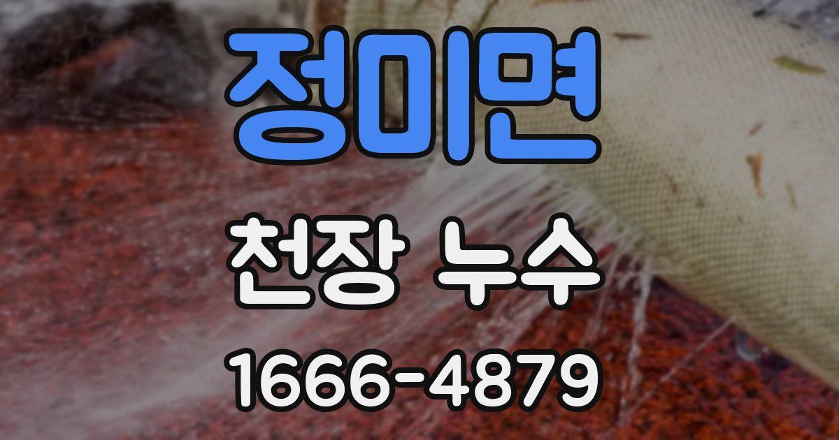 정미면 천장 누수