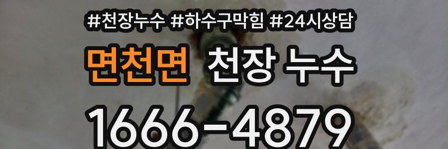 면천면 천장 누수