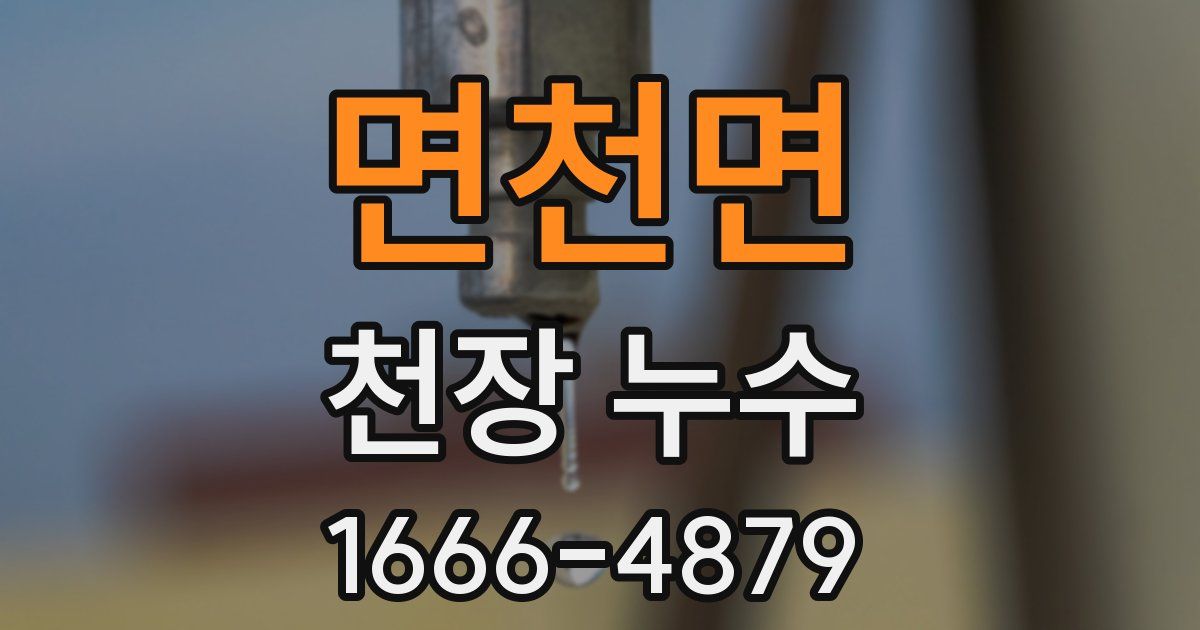 면천면 천장 누수