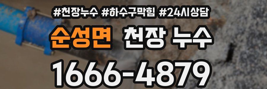 순성면 천장 누수