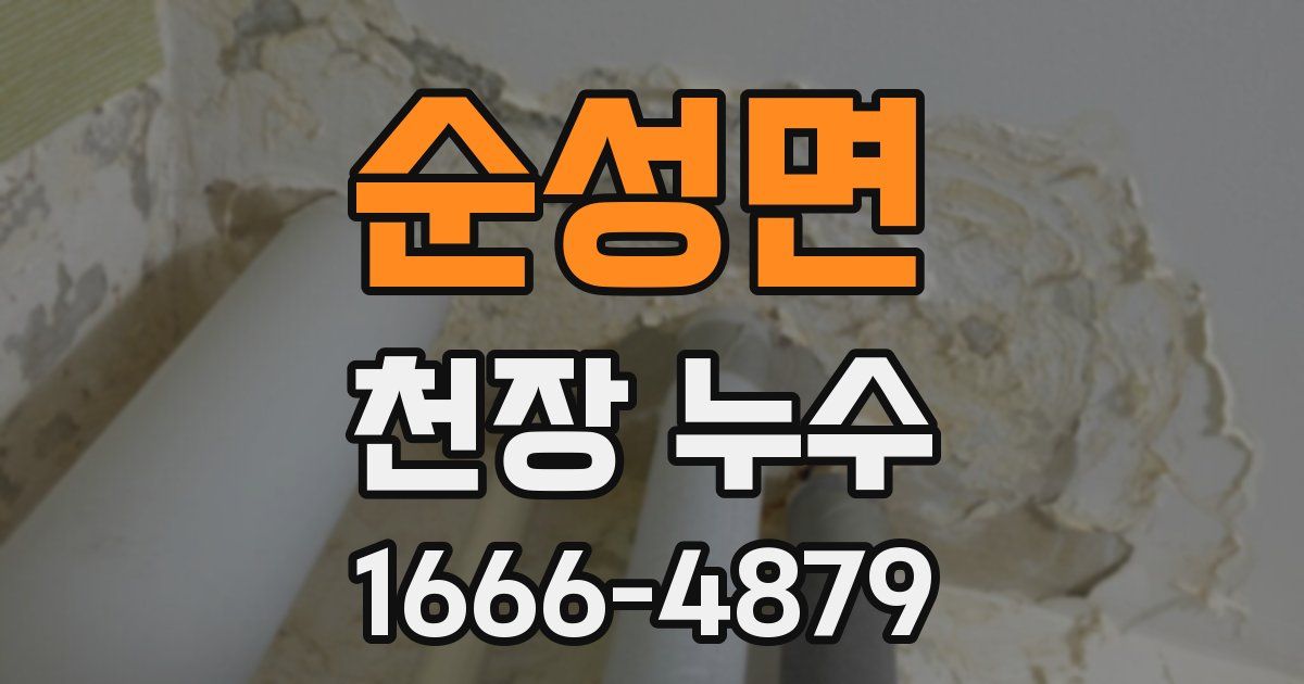 순성면 천장 누수
