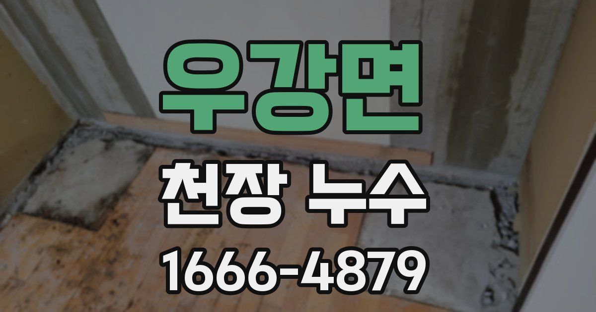 우강면 천장 누수