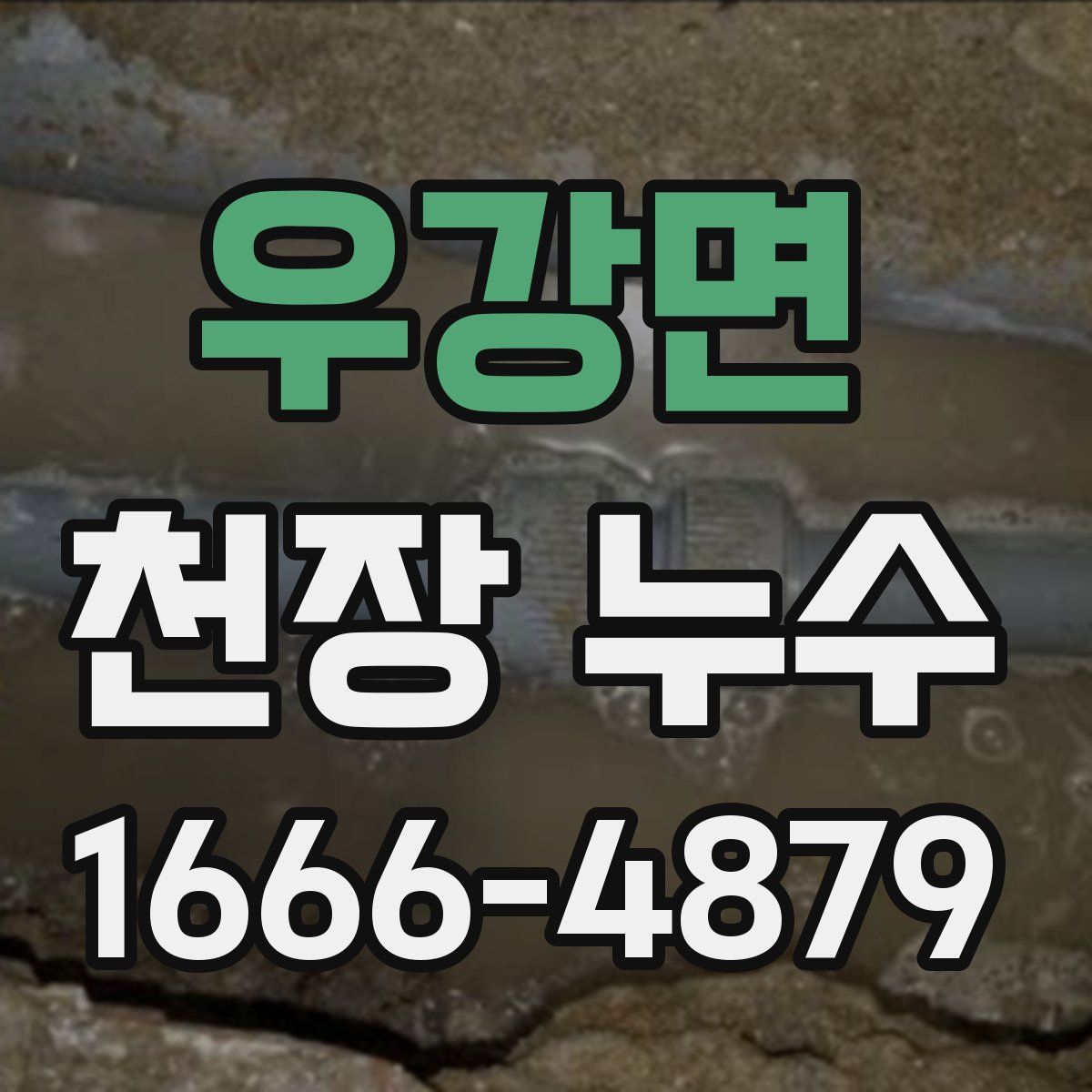 우강면 천장 누수