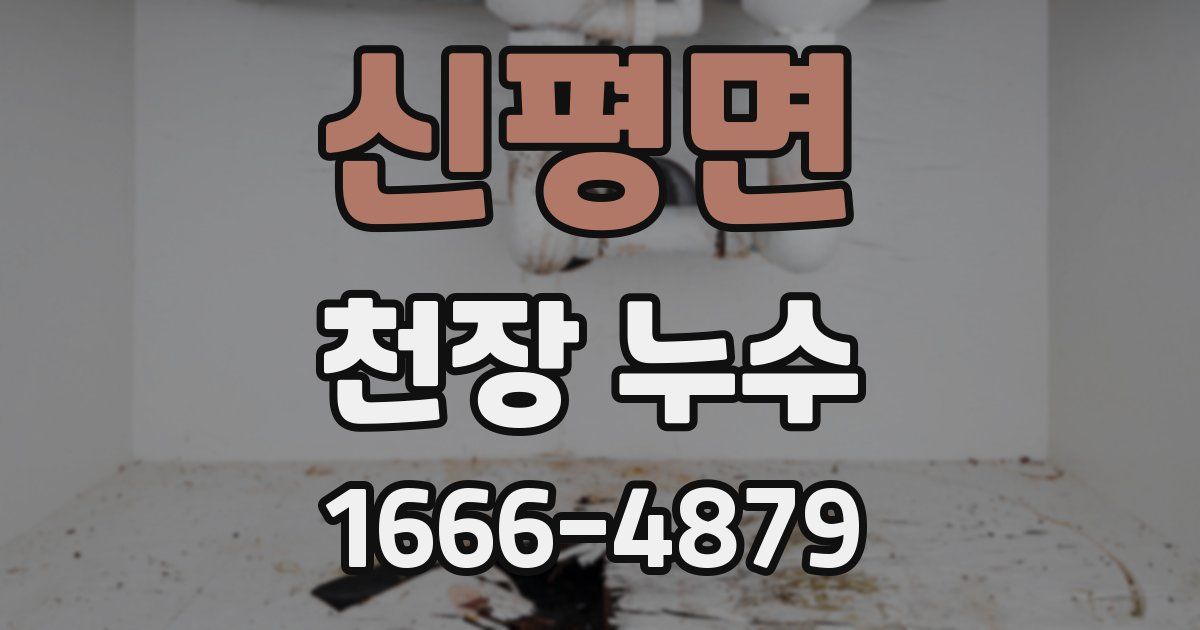 신평면 천장 누수