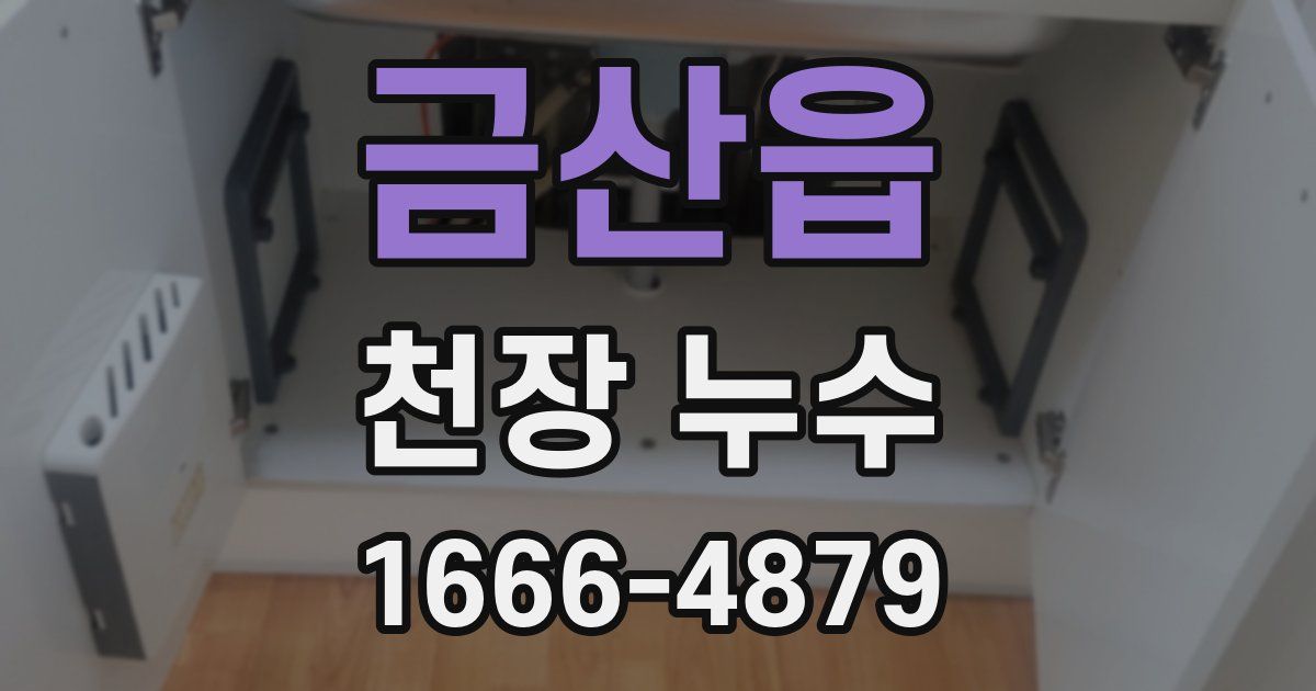 금산읍 천장 누수