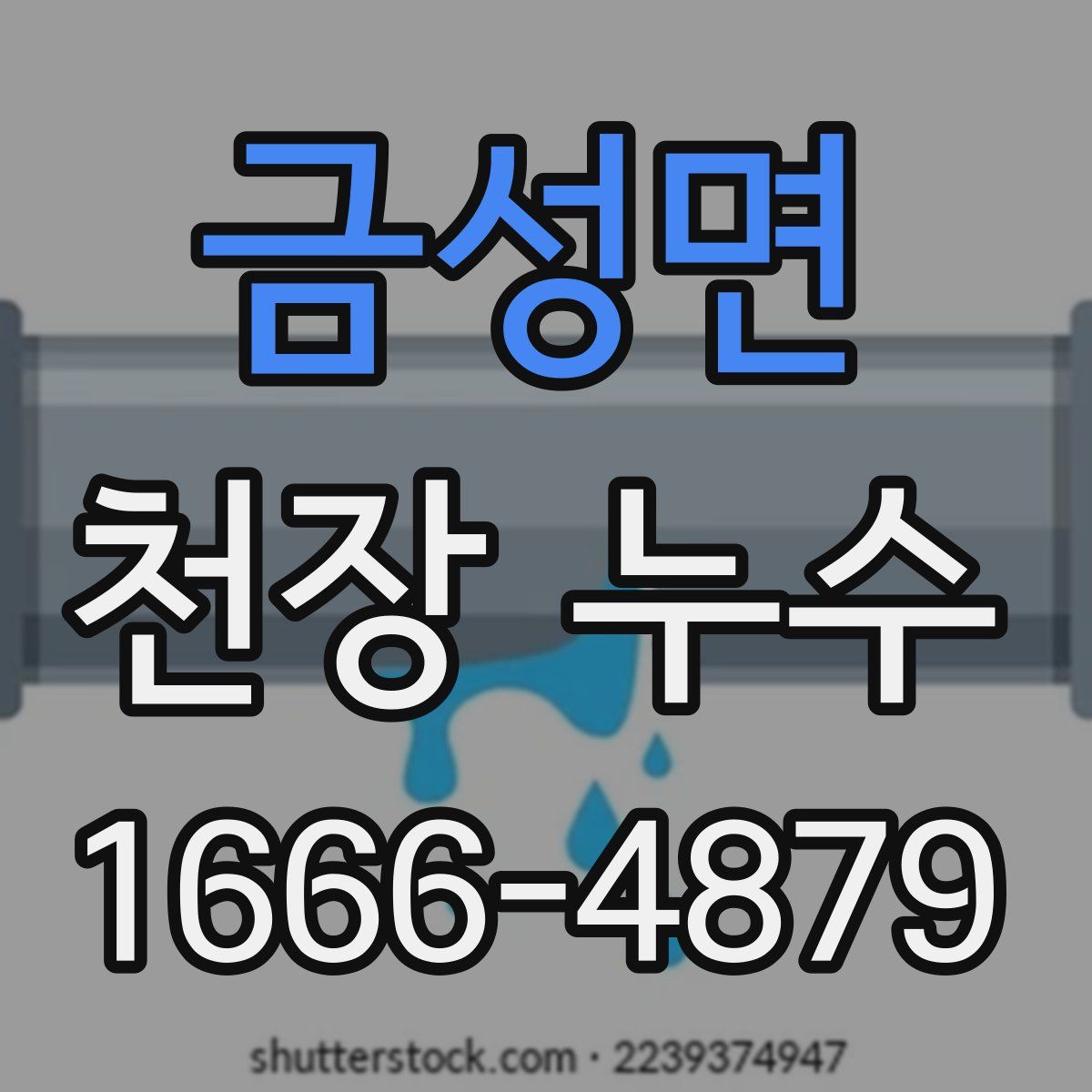 금성면 천장 누수
