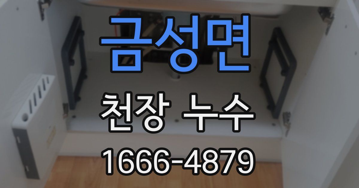 금성면 천장 누수