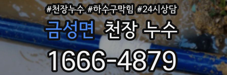 금성면 천장 누수