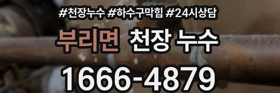 부리면 천장 누수