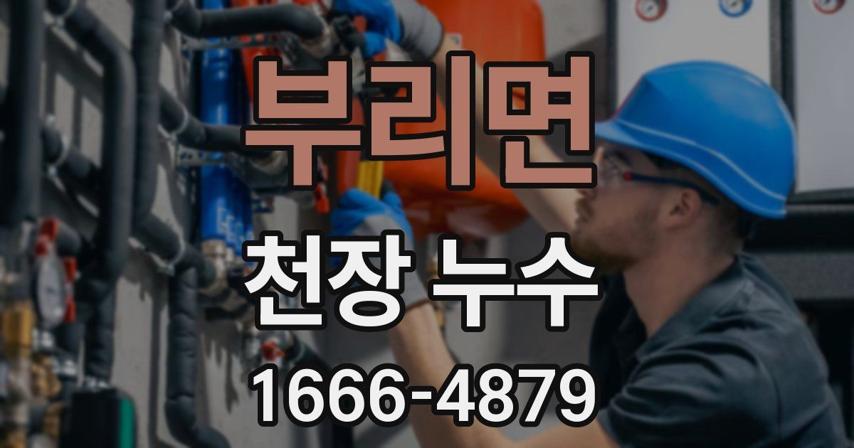 부리면 천장 누수