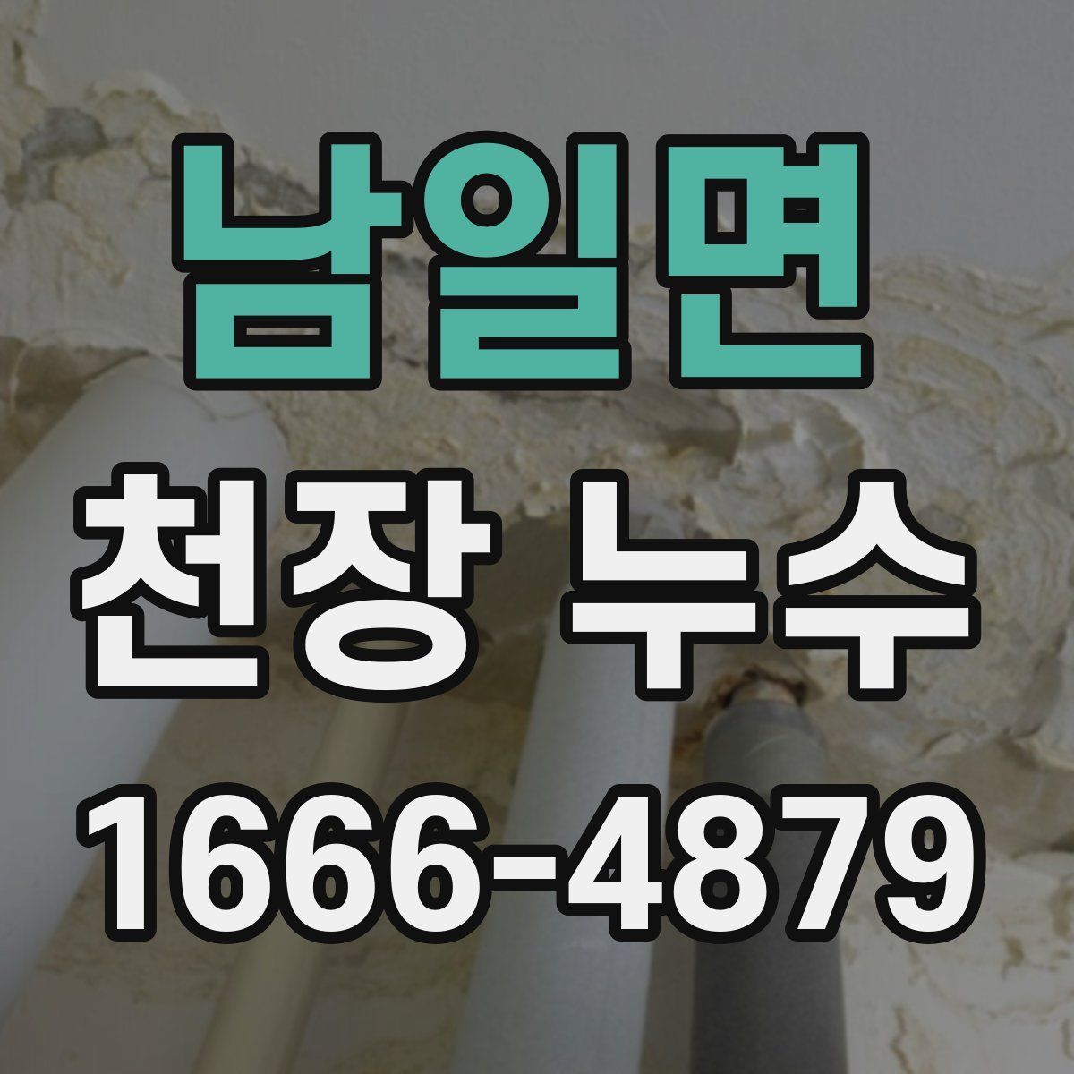 남일면 천장 누수